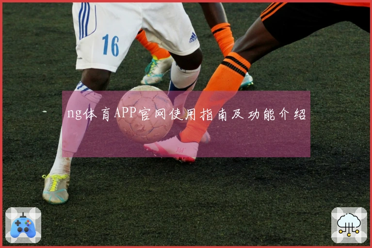 ng体育APP官网使用指南及功能介绍
