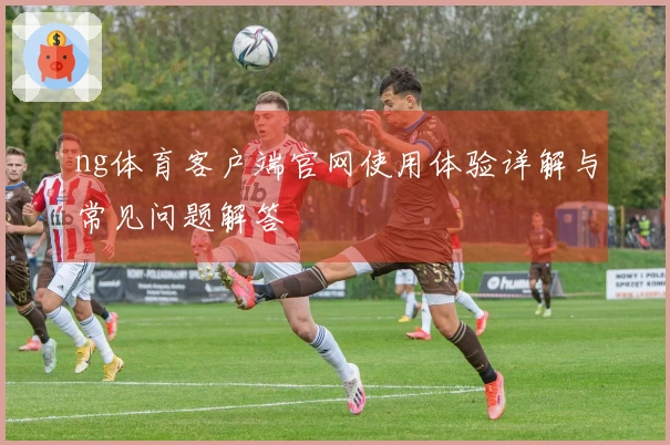 ng体育客户端官网使用体验详解与常见问题解答