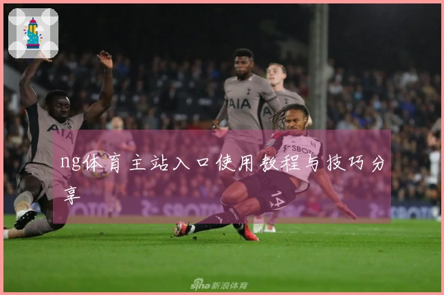 ng体育主站入口使用教程与技巧分享