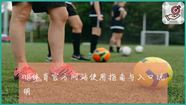 ng体育官方网站使用指南与入口说明