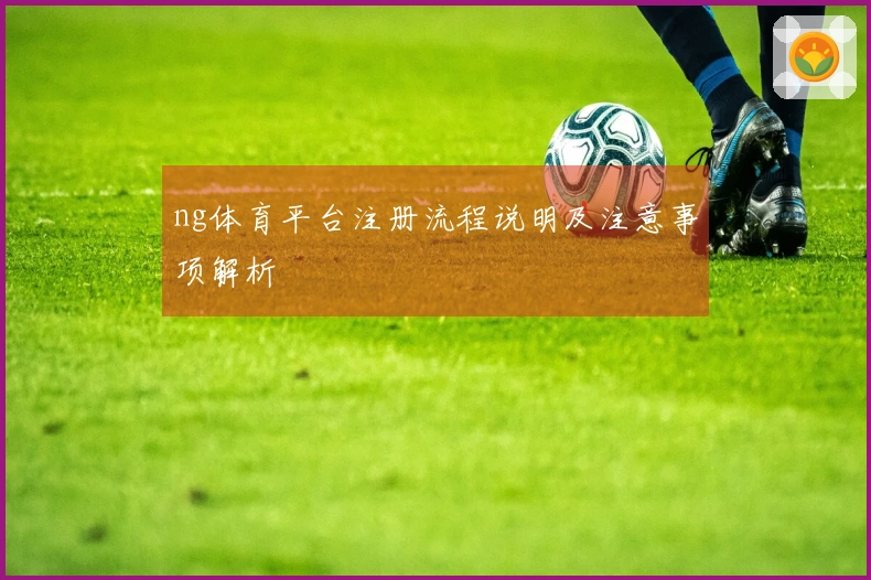 ng体育平台注册流程说明及注意事项解析