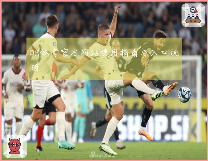 ng体育官方网站使用指南与入口说明
