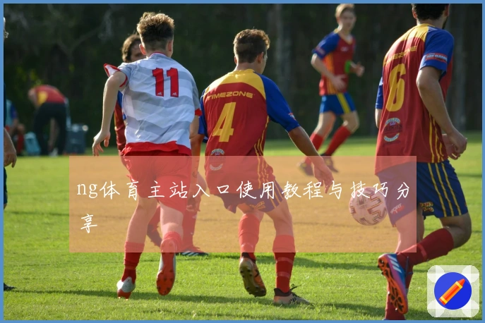 ng体育主站入口使用教程与技巧分享