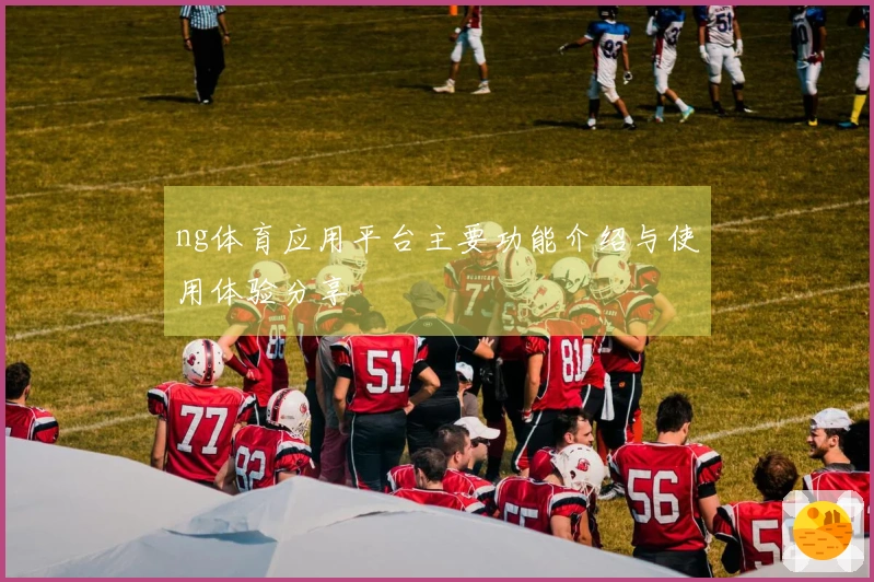 ng体育应用平台主要功能介绍与使用体验分享